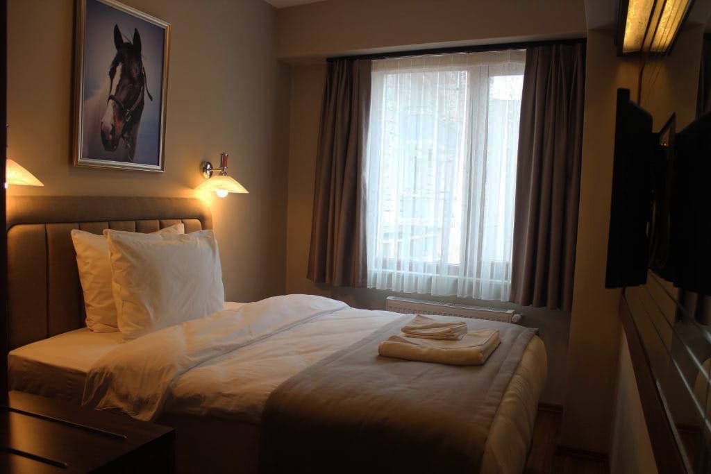 Ekonomik Tek Kişilik Oda, Armida City Hotel